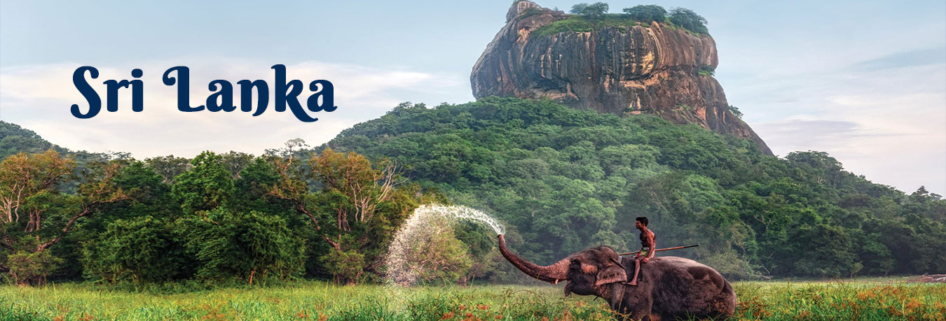 B2CWEBTravel Offers