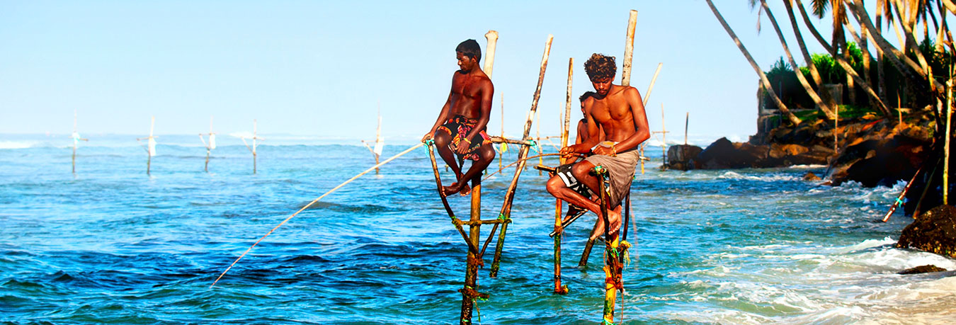 B2CWEBTravel Offers