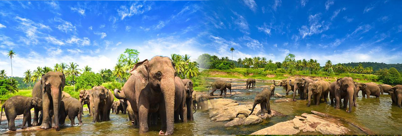 B2CWEBTravel Offers